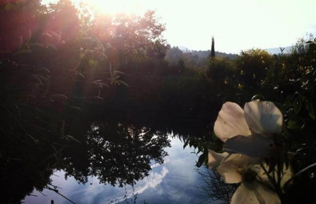 Tuscan Countryside Stay - Foto 34