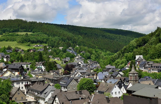 Lovely Apartment with Balcony in Willingen near Ski Lift - Foto 39