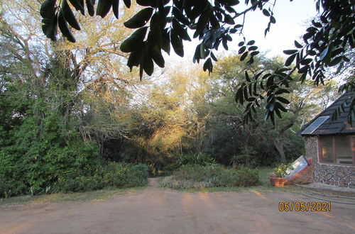 Foto 23 - 3 bed Bush-tent Under 3 Trees, for Couple Plus Chaperone Free Lionhyena Sounds