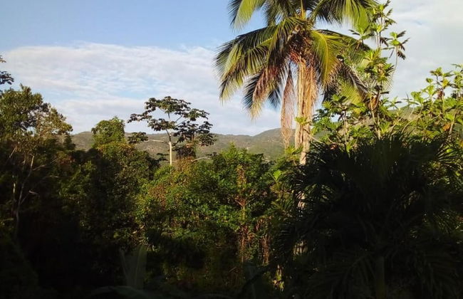 Lovely 1-bed Cottage in St Catherine Jamaica - Foto 6