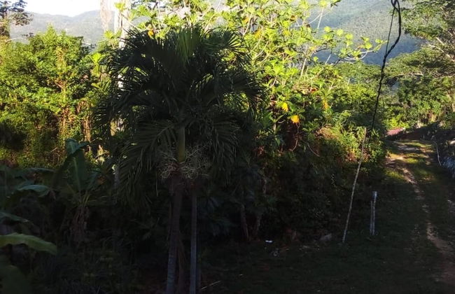 Lovely 1-bed Cottage in St Catherine Jamaica - Foto 8