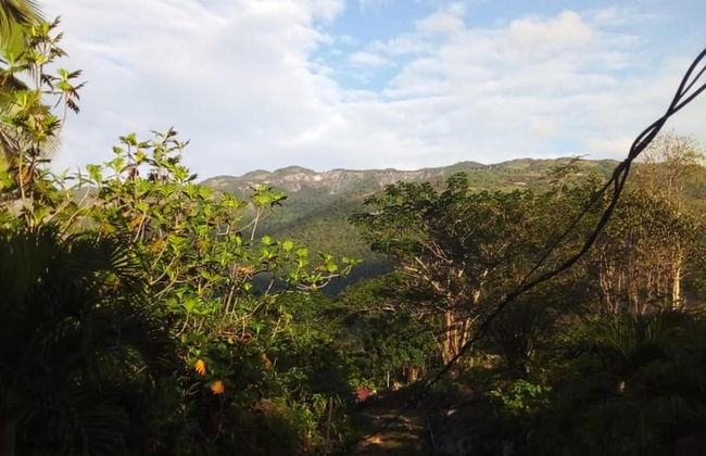 Lovely 1-bed Cottage in St Catherine Jamaica - Foto 7