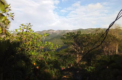 Photo 8 - Lovely 1-bed Cottage in St Catherine Jamaica