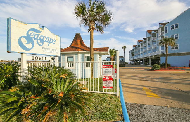 Seascape 1110 - Parrot Paradise - Foto 25