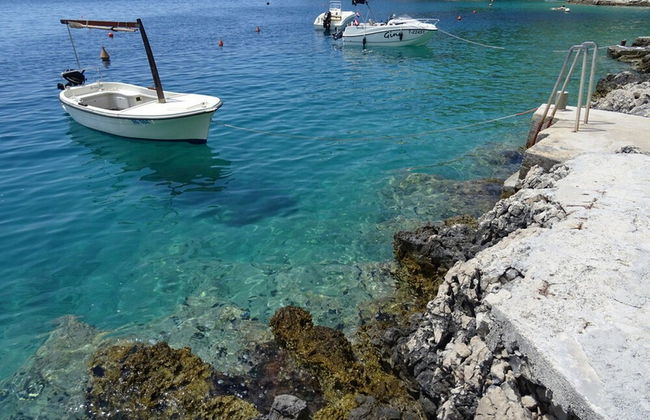 Holiday rental in Rogoznica with garden and terrace - Foto 46