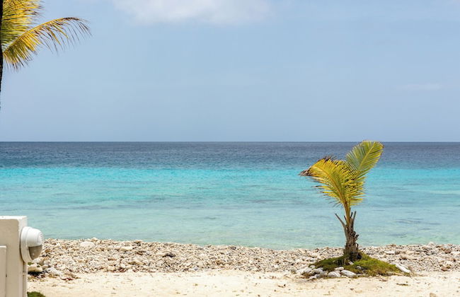 Light House Beach house with Ocean View - Photo 47