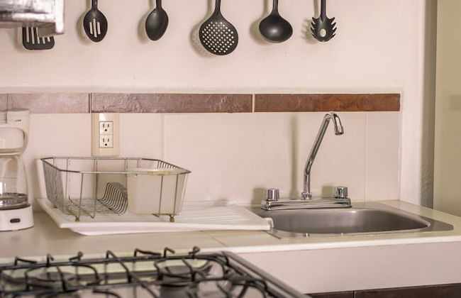 La Iguana Vallarta LGBT - Adults Only - Romantic Zone - Party Clubbing Street - Foto 16