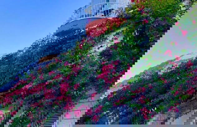 Villa Bouganvillea - sea View & Garden - A3 Comfort - Foto 16