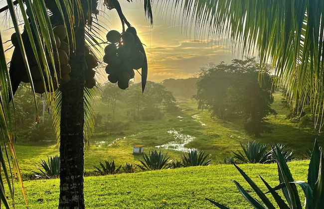 Amazing House Paradise - Foto 19