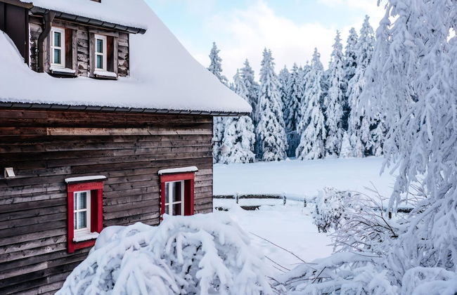 Chalet in Harz With Sauna & Brocken Views - Foto 23