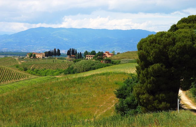 Holiday Home With Pool in Stabbia - Foto 70