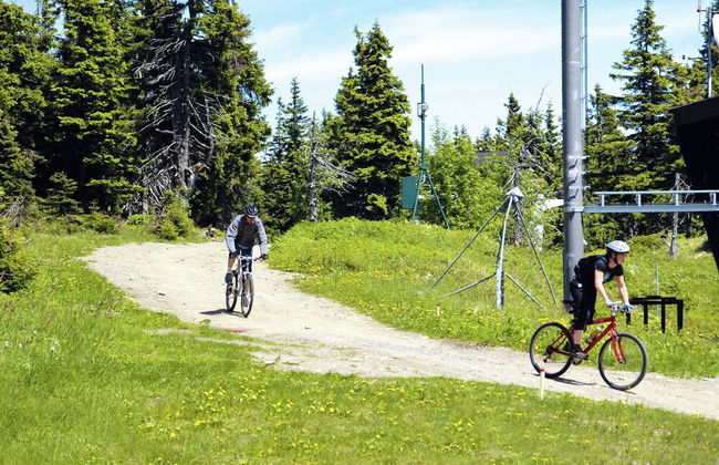Peaceful Mountain Holiday Stay - Foto 40