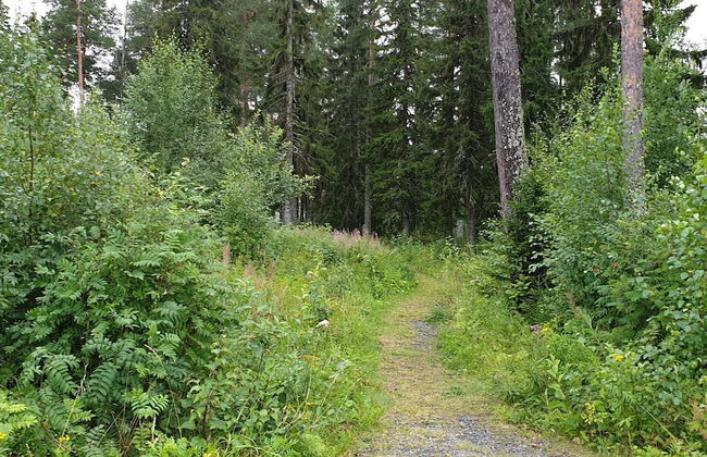 4 Person Holiday Home in Krokom-by Traum - Foto 15
