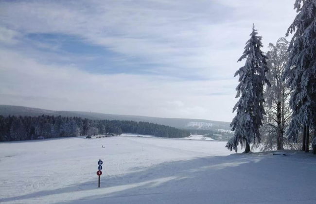 Apartment in Schnett Near the ski Area - Foto 36
