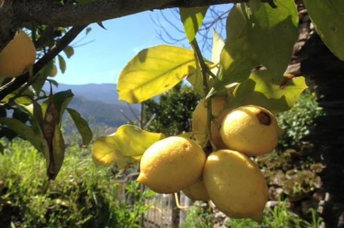 Photo 28 - Refugio da Montanha Amazing Views Gois Region