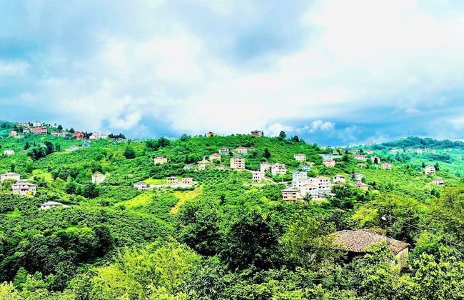 Five Stars Apart Bungalov - Photo 44