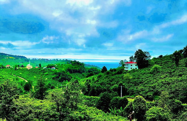 Five Stars Apart Bungalov - Photo 46