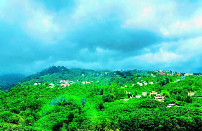 Five Stars Apart Bungalov - Photo 47