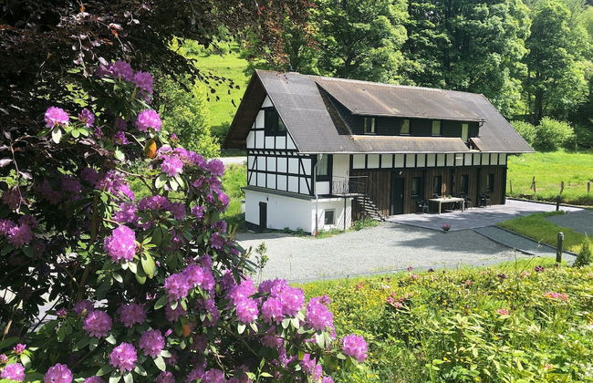 Large House in Winterberg in the Sauerland Region - Foto 66