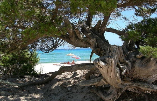 Stunning Residence Bouganvillage 2 Bedroom Sleeps 6 Child - Foto 21