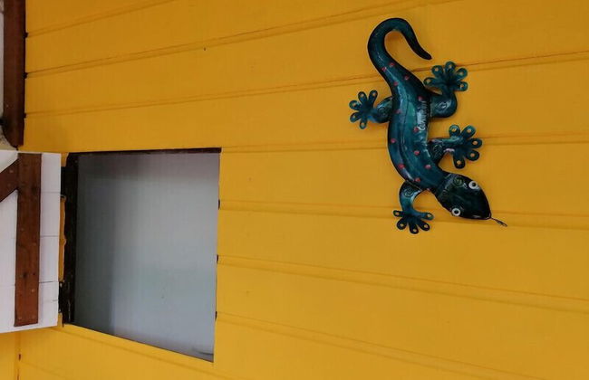 Le Parc aux Orchidées - Foto 5