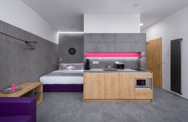 Vila Emona - Central Apartments - Free Parking - Foto 20