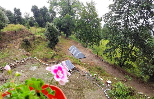 Janardan Campsite Kausani - Foto 10