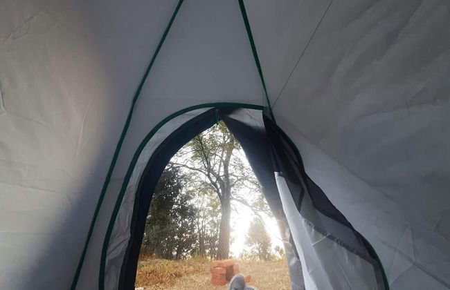 Janardan Campsite Kausani - Foto 8
