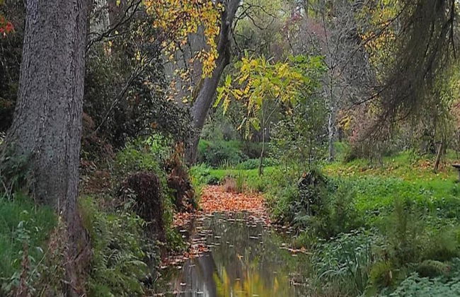 Haven With Private Garden - Foto 22