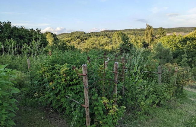 Haven With Private Garden - Foto 26