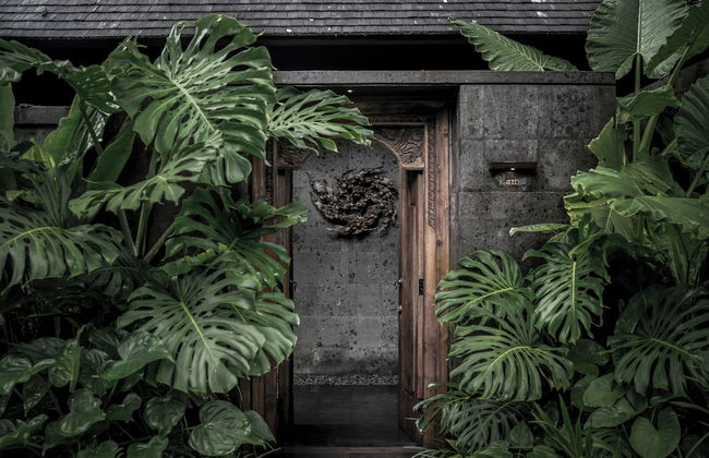 Janjisurga by Ekosistem - Foto 2