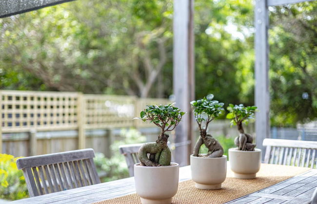 Luxury Eco Home With Garden Cottage - Houtbay - Foto 43