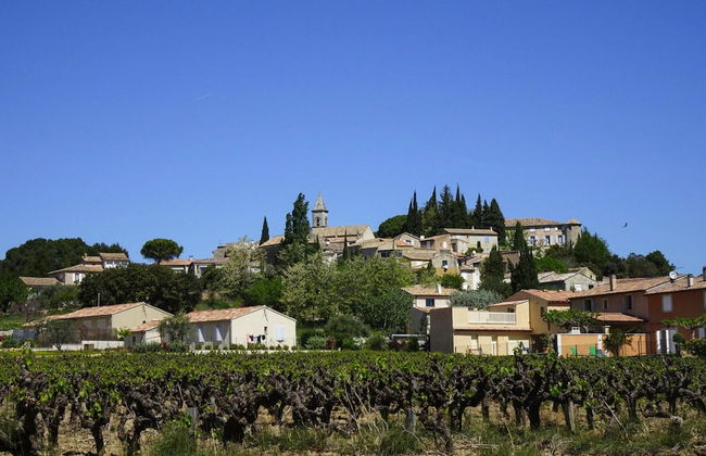 Cosy Holiday Home With Private and Heated Pool, Roaix-formerly TUI Ferienhaus - Foto 21