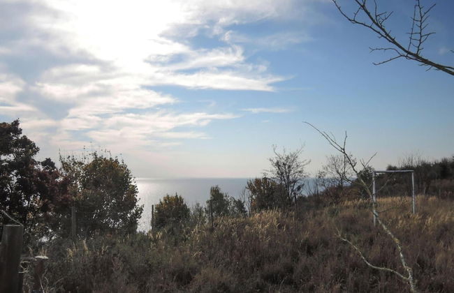 Bungalow in Lubin at 300 m From the Lake - Photo 36