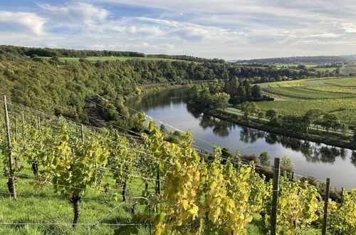 Photo 22 - Holiday Apartment Near the Moselle With Terrace