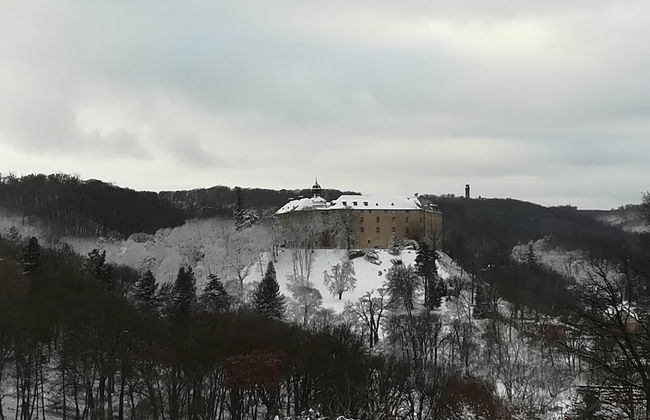 Spacious Apartment in Blankenburg Harz near Ski Area - Foto 38