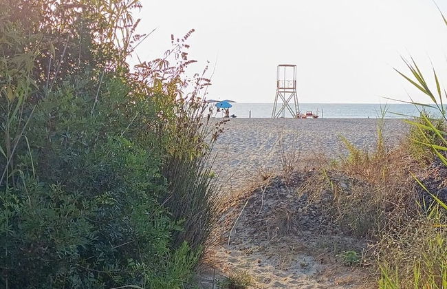 Always on Foot 3 min to the Beach Center With Double Terrace - Foto 24