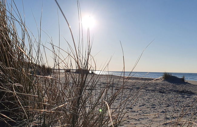 Holiday Home in Zeeland With Sauna - Foto 39