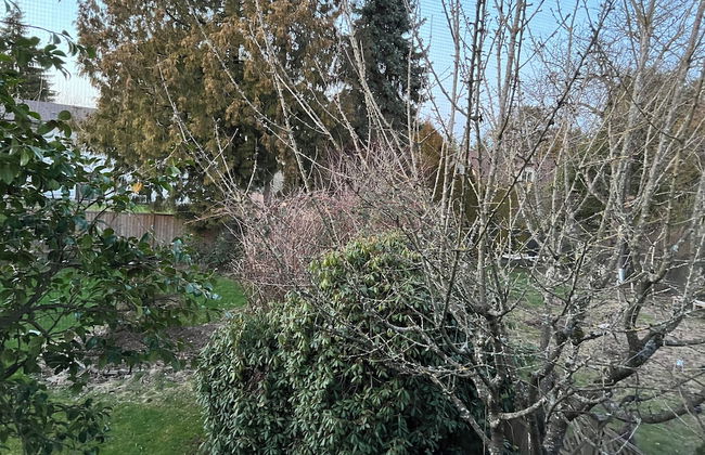 Quite House near Vancouver Airport - Foto 44