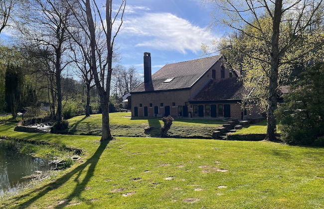 Mansion With Pool, Neblon - Foto 31