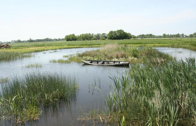 Canal-side Stay, Giethoorn - Foto 35