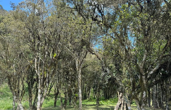 Vila Vert - Rancho Queimado - SC - Foto 55