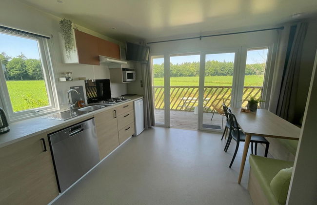Serene Chalet in Schoonloo With Patio - Foto 6