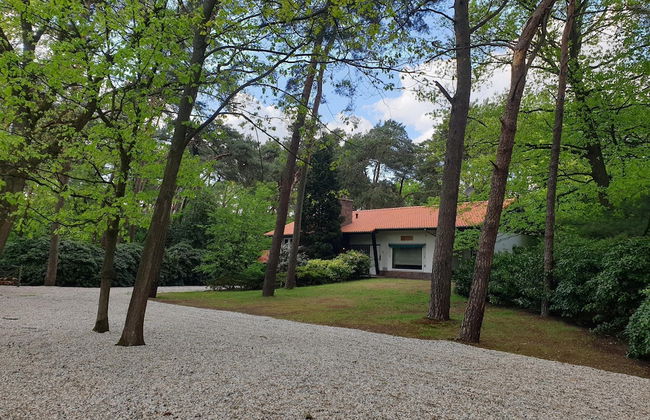 Country House in Leende Near Leenderbos Forest - Photo 1