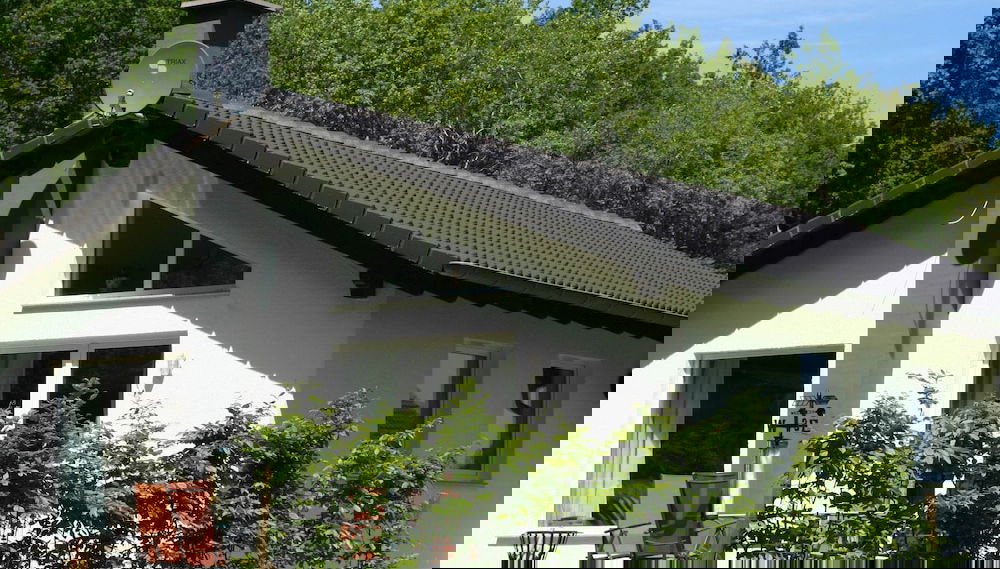 Imagem principal