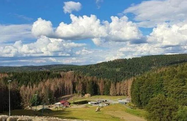 Cozy Apartment Near Trails - Foto 33