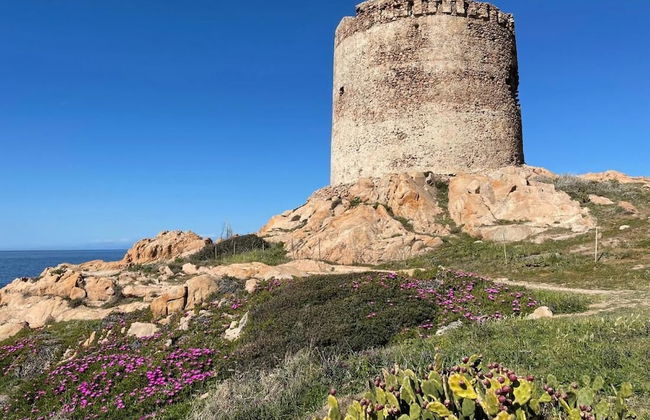 Casa I Corbezzoli - Paduledda - Isola Rossa - Photo 47