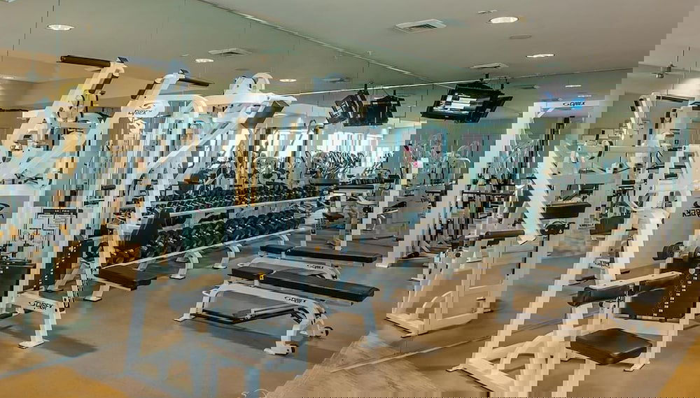 Imagem principal