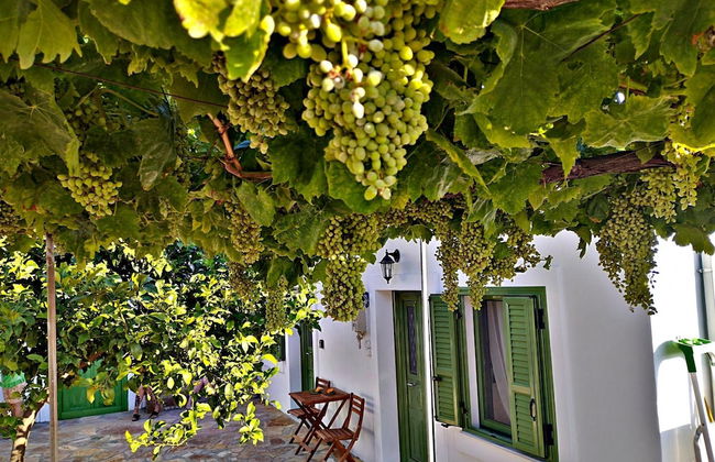 Laurel LK Houses in Kritinia Rhodes - Foto 19