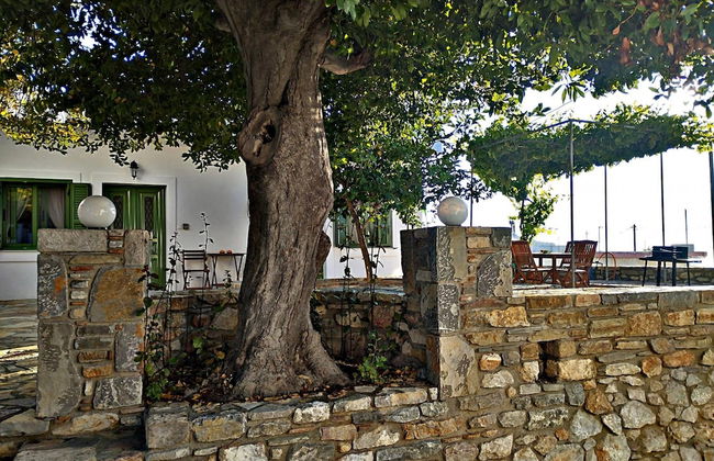 Laurel LK Houses in Kritinia Rhodes - Foto 20